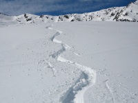 Sepp Reichenberger